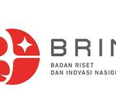 Logo brin
